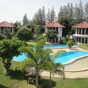 Mango Spa&Resort